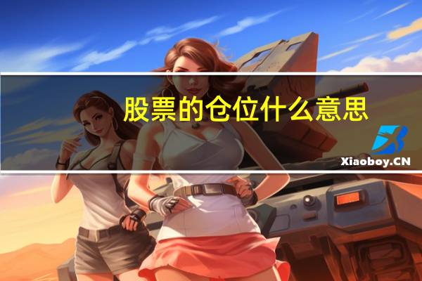 股票的仓位什么意思