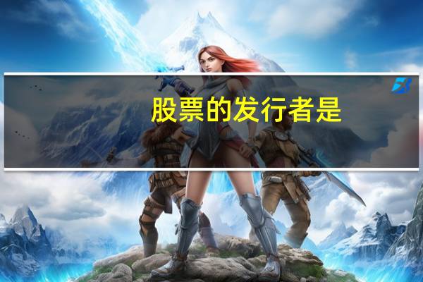 股票的发行者是