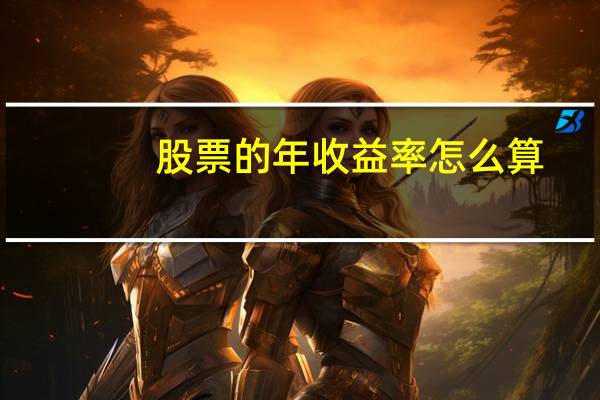 股票的年收益率怎么算