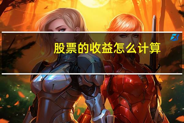股票的收益怎么计算