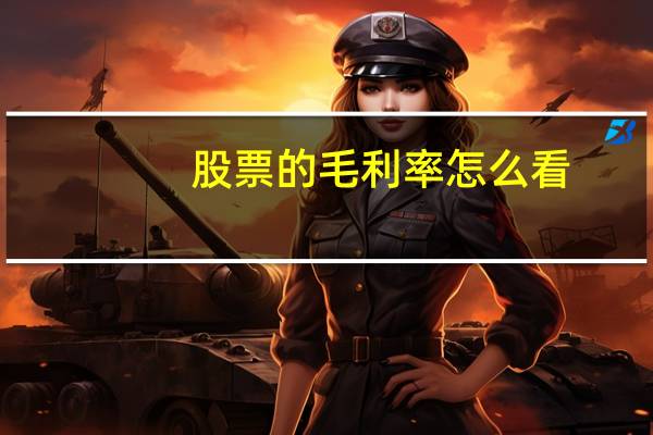 股票的毛利率怎么看