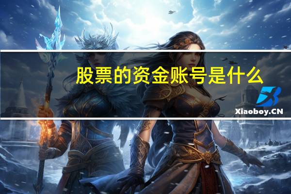股票的资金账号是什么