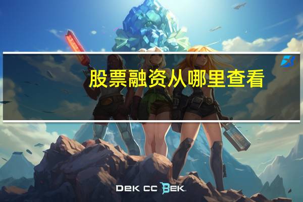 股票融资从哪里查看