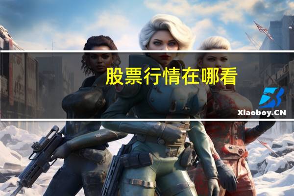 股票行情在哪看