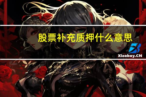 股票补充质押什么意思