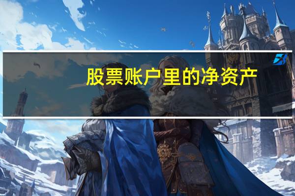 股票账户里的净资产
