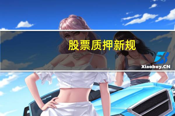 股票质押新规