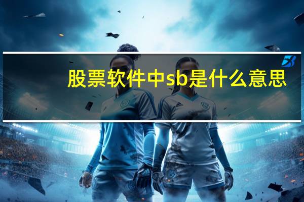 股票软件中sb是什么意思