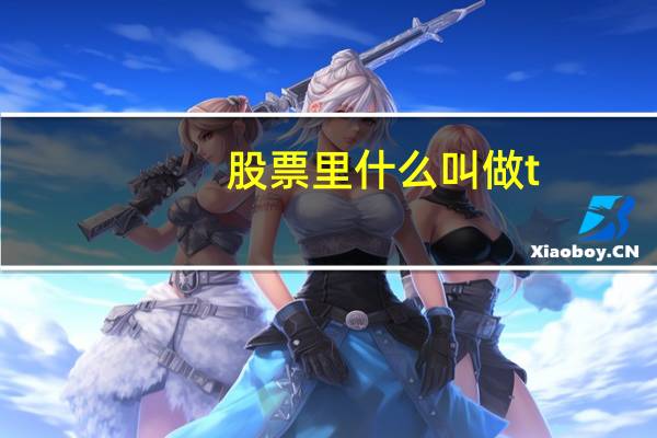 股票里什么叫做t