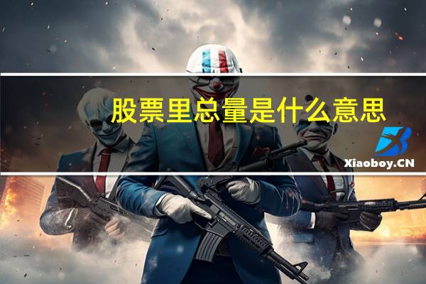 股票里总量是什么意思