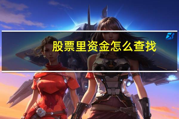股票里资金怎么查找