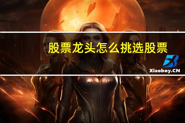 股票龙头怎么挑选股票