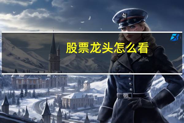 股票龙头怎么看