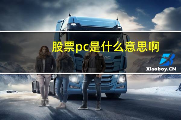股票pc是什么意思啊