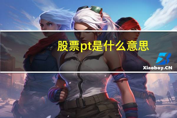 股票pt是什么意思