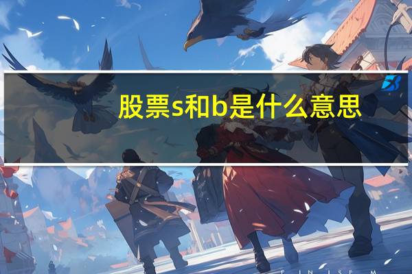 股票s和b是什么意思