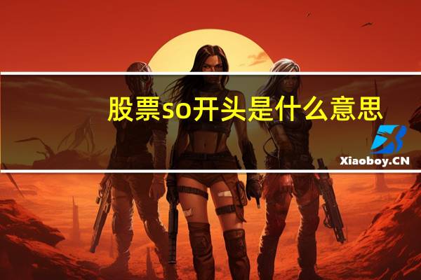 股票so开头是什么意思