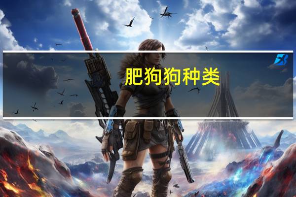 肥狗狗种类