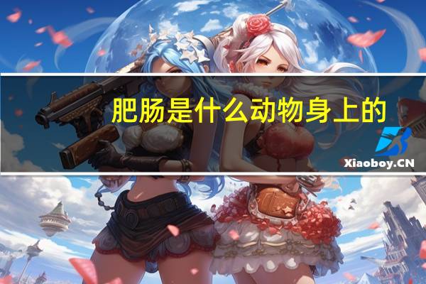 肥肠是什么动物身上的