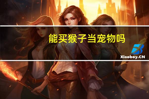 能买猴子当宠物吗