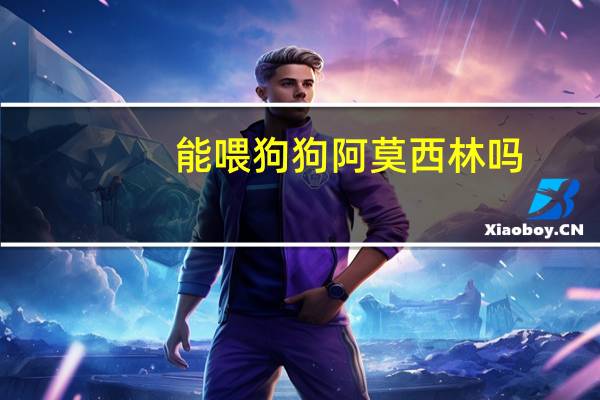 能喂狗狗阿莫西林吗