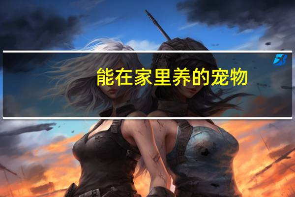 能在家里养的宠物