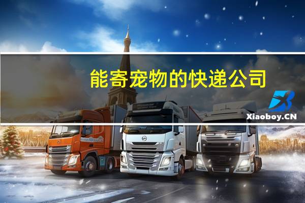 能寄宠物的快递公司