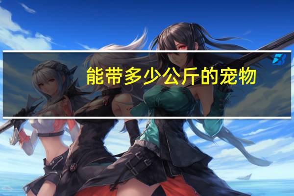 能带多少公斤的宠物