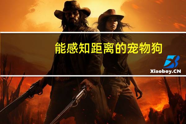 能感知距离的宠物狗