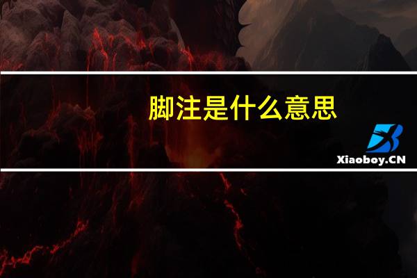 脚注是什么意思
