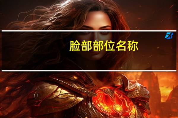 脸部部位名称
