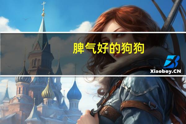 脾气好的狗狗