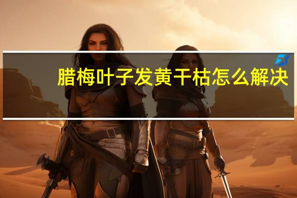 腊梅叶子发黄干枯怎么解决