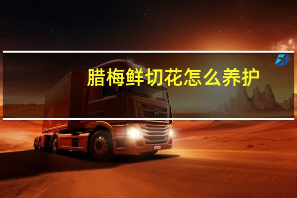 腊梅鲜切花怎么养护