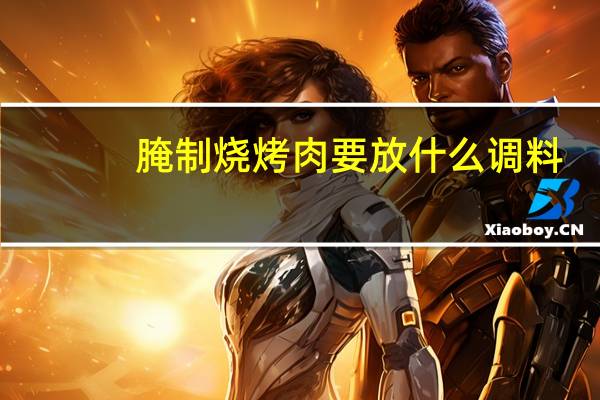 腌制烧烤肉要放什么调料