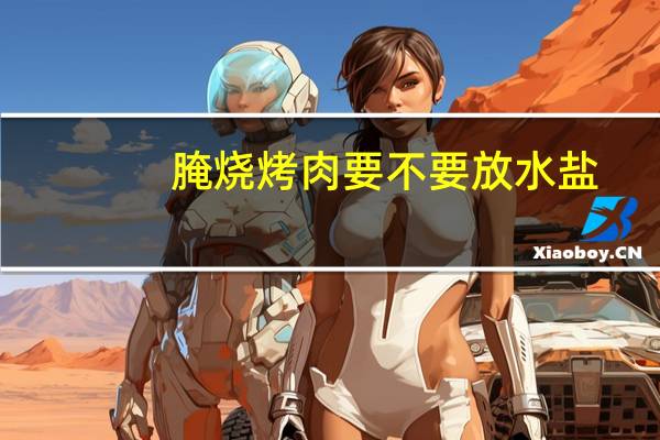腌烧烤肉要不要放水盐
