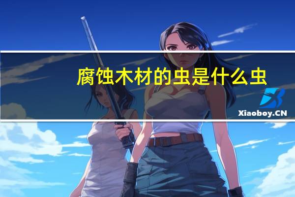 腐蚀木材的虫是什么虫