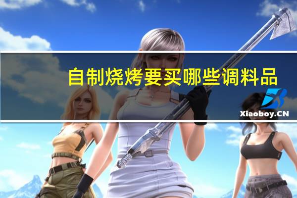 自制烧烤要买哪些调料品