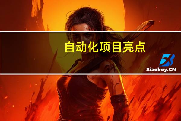自动化项目亮点