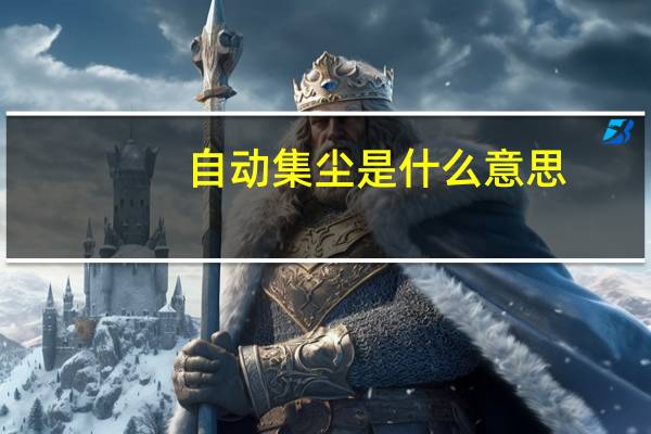 自动集尘是什么意思