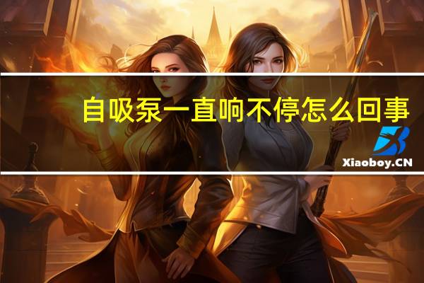 自吸泵一直响不停怎么回事