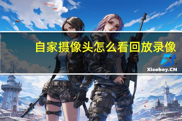 自家摄像头怎么看回放录像