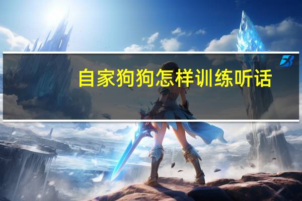 自家狗狗怎样训练听话