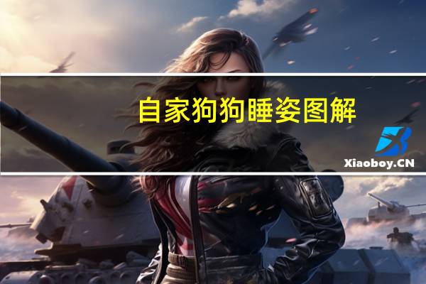 自家狗狗睡姿图解