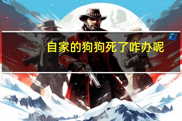 自家的狗狗死了咋办呢