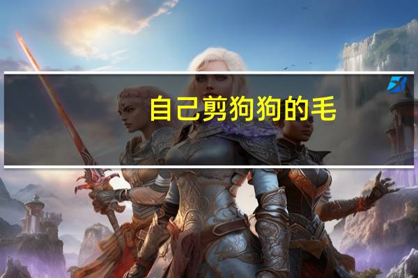 自己剪狗狗的毛