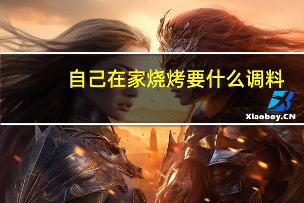 自己在家烧烤要什么调料