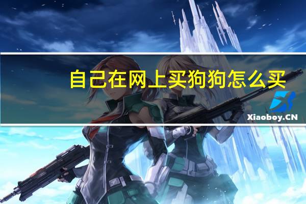 自己在网上买狗狗怎么买