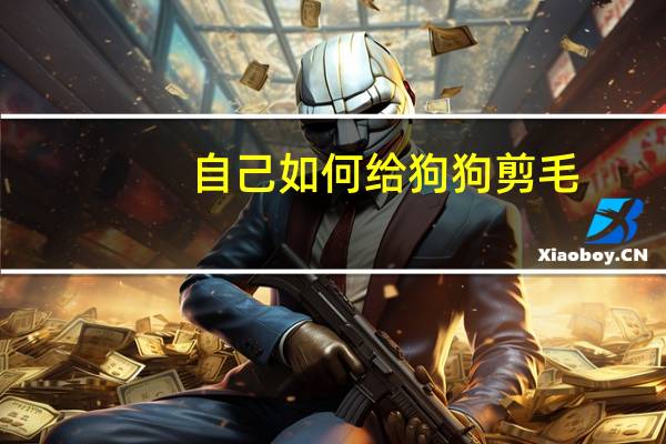 自己如何给狗狗剪毛