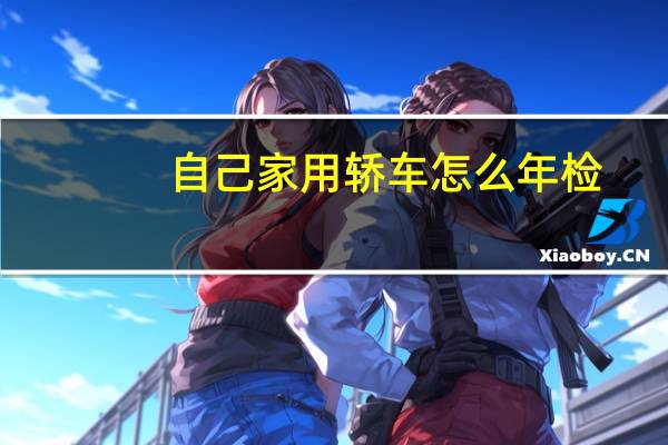 自己家用轿车怎么年检